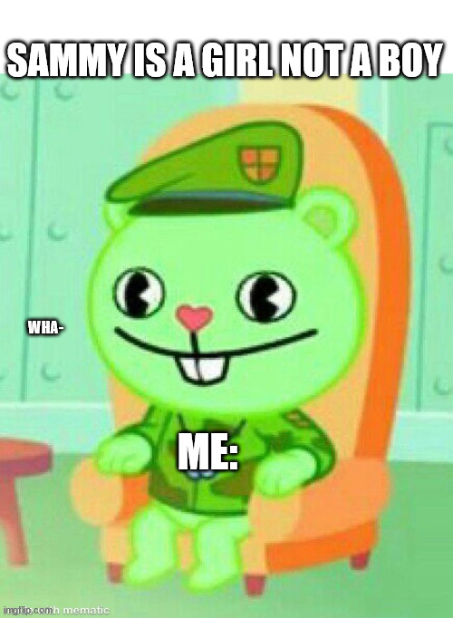 uuuhh | SAMMY IS A GIRL NOT A BOY; WHA-; ME: | image tagged in happy tree friends flippy staring | made w/ Imgflip meme maker