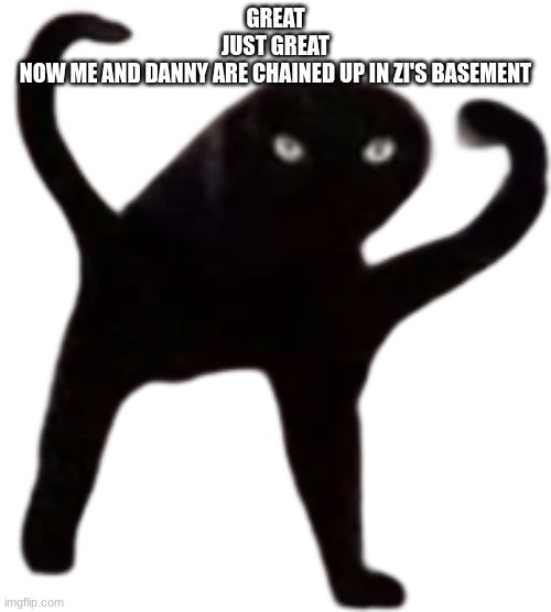 Cursed Cat | GREAT
JUST GREAT
NOW ME AND DANNY ARE CHAINED UP IN ZI'S BASEMENT | image tagged in cursed cat | made w/ Imgflip meme maker