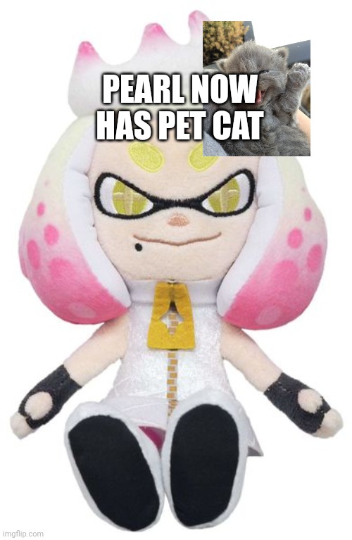 Pearl plushy | PEARL NOW HAS PET CAT | image tagged in pearl plushy | made w/ Imgflip meme maker