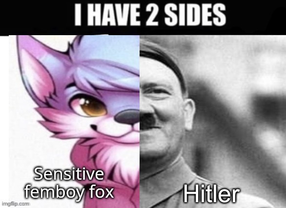 Hitler | made w/ Imgflip meme maker