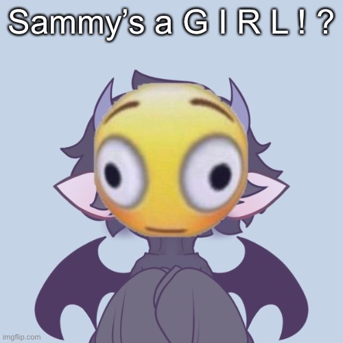 < > - < > | Sammy’s a G I R L ! ? | made w/ Imgflip meme maker