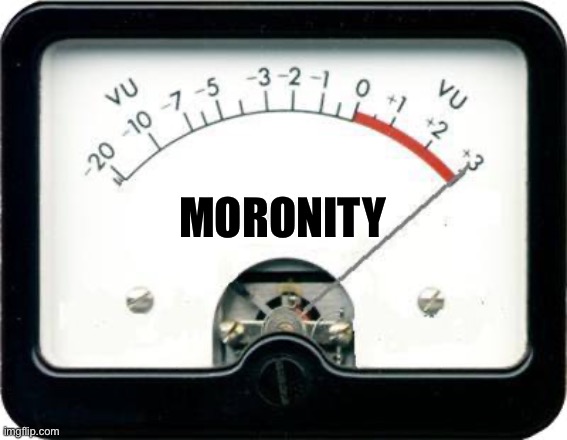 Irony Meter | MORONITY | image tagged in irony meter | made w/ Imgflip meme maker