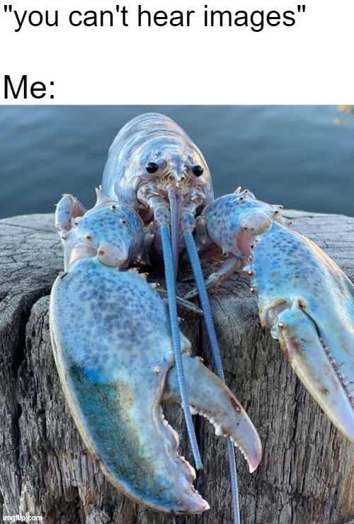 who else can hear it | "you can't hear images"; Me: | image tagged in cotton candy lobster,toccata and fugue in d minor | made w/ Imgflip meme maker