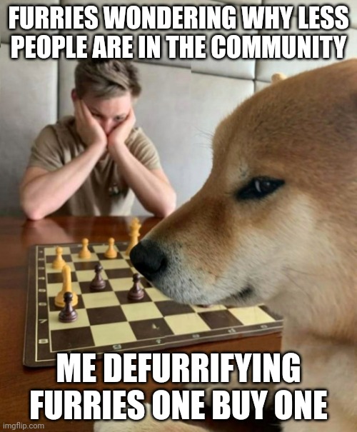 Chess doge | FURRIES WONDERING WHY LESS PEOPLE ARE IN THE COMMUNITY; ME DEFURRIFYING FURRIES ONE BUY ONE | image tagged in chess doge | made w/ Imgflip meme maker