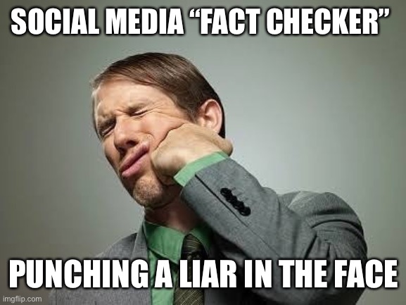 They’re complete imbeciles who don’t even know how to Google something | SOCIAL MEDIA “FACT CHECKER”; PUNCHING A LIAR IN THE FACE | image tagged in face punch | made w/ Imgflip meme maker