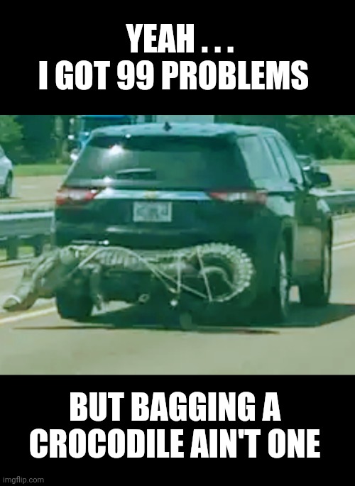 Open Season |  YEAH . . . 
I GOT 99 PROBLEMS; BUT BAGGING A CROCODILE AIN'T ONE | image tagged in florida,crocodile,truck,news,suv | made w/ Imgflip meme maker