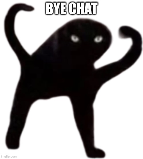 Cursed Cat | BYE CHAT | image tagged in cursed cat | made w/ Imgflip meme maker