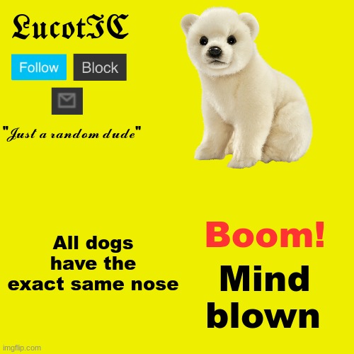 LucotIC "Polar Bear" announcement template | Boom! All dogs have the exact same nose; Mind; blown | image tagged in lucotic polar bear announcement template | made w/ Imgflip meme maker