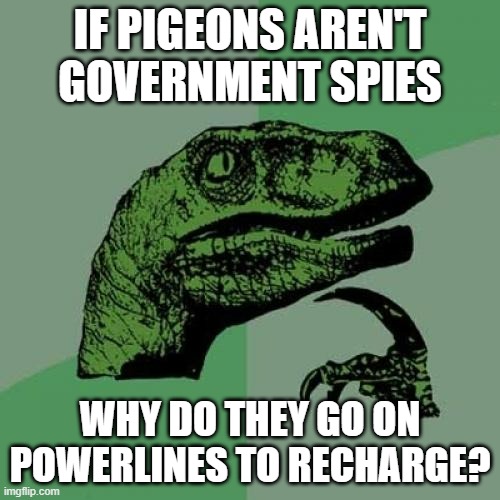 its all a lie | IF PIGEONS AREN'T GOVERNMENT SPIES; WHY DO THEY GO ON POWERLINES TO RECHARGE? | image tagged in memes,philosoraptor | made w/ Imgflip meme maker