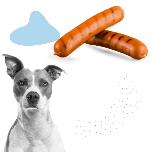 High Quality Dog sausage Blank Meme Template