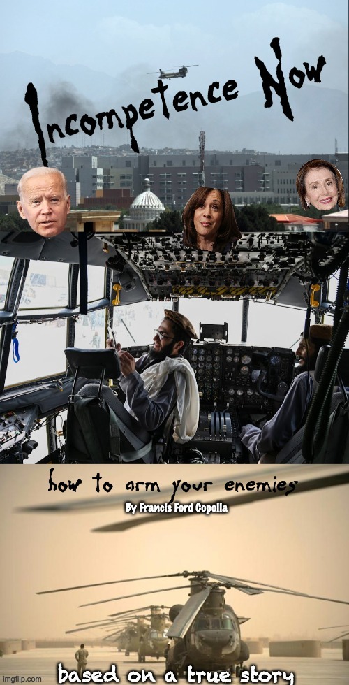 Another Classic about a boondoggle | image tagged in gaffe,boondoggle,quagmire,biden-harris admin | made w/ Imgflip meme maker