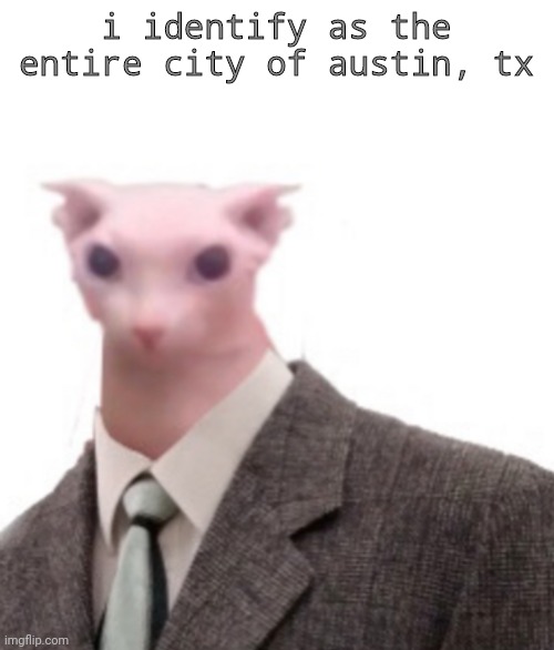 sinkhole time | i identify as the entire city of austin, tx | image tagged in bingus | made w/ Imgflip meme maker