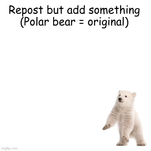 Lets start one of these again | Repost but add something
(Polar bear = original) | image tagged in memes,blank transparent square | made w/ Imgflip meme maker