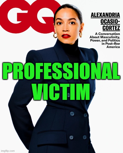 The Ongoing Oppression of AOC |  PROFESSIONAL VICTIM | image tagged in alexandria ocasio-cortez,gentlemen's quarterly,victim | made w/ Imgflip meme maker