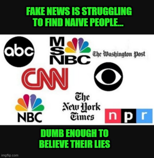 Fake News looking for dumb people to believe their lies. | FAKE NEWS IS STRUGGLING TO FIND NAIVE PEOPLE... DUMB ENOUGH TO BELIEVE THEIR LIES | image tagged in media lies | made w/ Imgflip meme maker