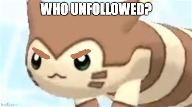 Seriously, who? | WHO UNFOLLOWED? | image tagged in angry furret,memes,pokemon,furret,e,why are you reading this | made w/ Imgflip meme maker