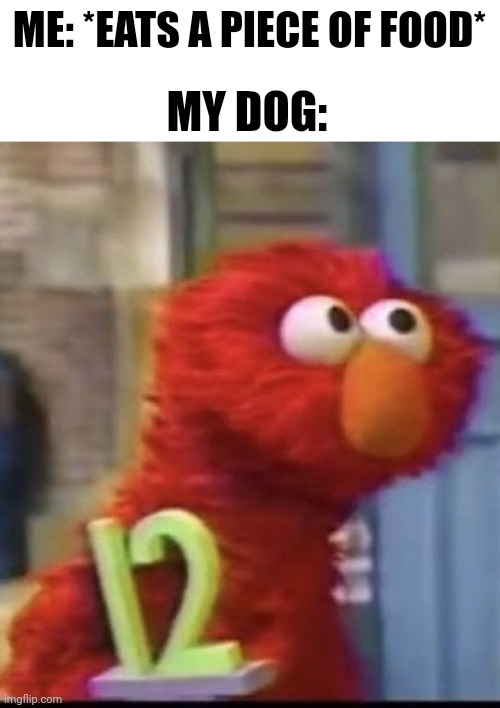 Why do I eat food. | ME: *EATS A PIECE OF FOOD*; MY DOG: | image tagged in elmo has had enough | made w/ Imgflip meme maker