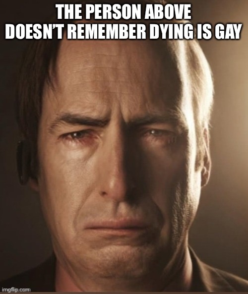 Saul Sadman | THE PERSON ABOVE DOESN’T REMEMBER DYING IS GAY | image tagged in saul sadman | made w/ Imgflip meme maker