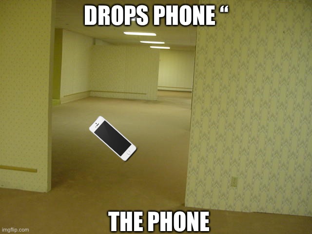 Lol | DROPS PHONE “; THE PHONE | image tagged in the backrooms | made w/ Imgflip meme maker