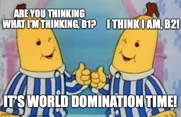 B1 & B2 | ARE YOU THINKING WHAT I'M THINKING, B1? I THINK I AM, B2! IT'S WORLD DOMINATION TIME! | image tagged in memes | made w/ Imgflip meme maker