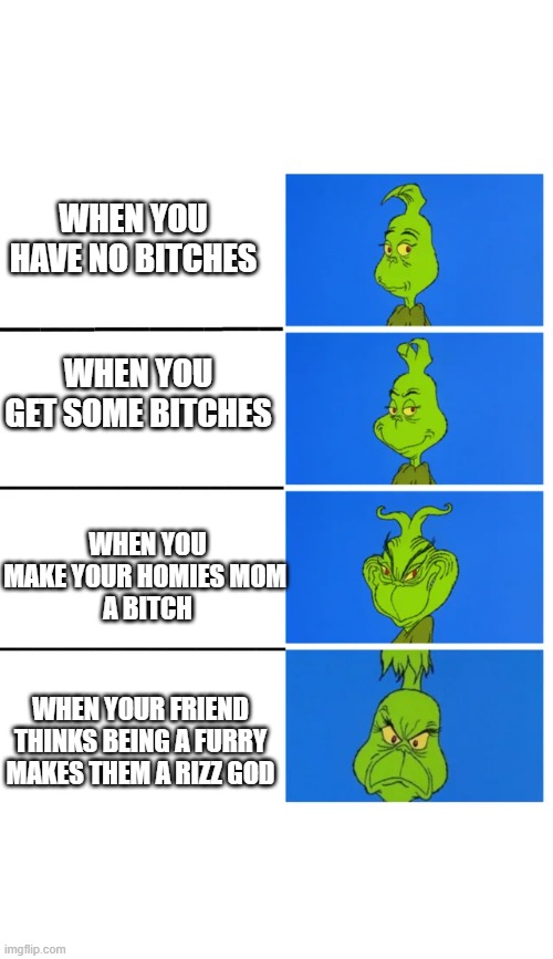 Grinch Memes |  WHEN YOU HAVE NO BITCHES; WHEN YOU GET SOME BITCHES; WHEN YOU MAKE YOUR HOMIES MOM 
A BITCH; WHEN YOUR FRIEND THINKS BEING A FURRY MAKES THEM A RIZZ GOD | image tagged in grinch,funny | made w/ Imgflip meme maker
