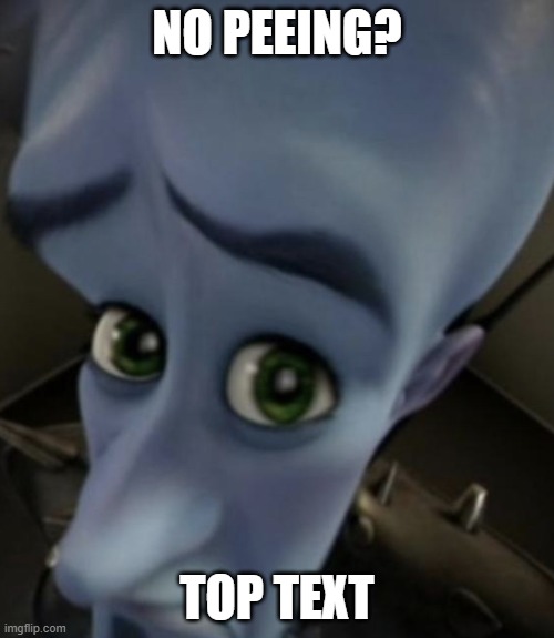 Posting nonsense until I get my beans Day 2 | NO PEEING? TOP TEXT | image tagged in megamind meme template,memes,funny,random,megamind peeking,why are you reading this | made w/ Imgflip meme maker