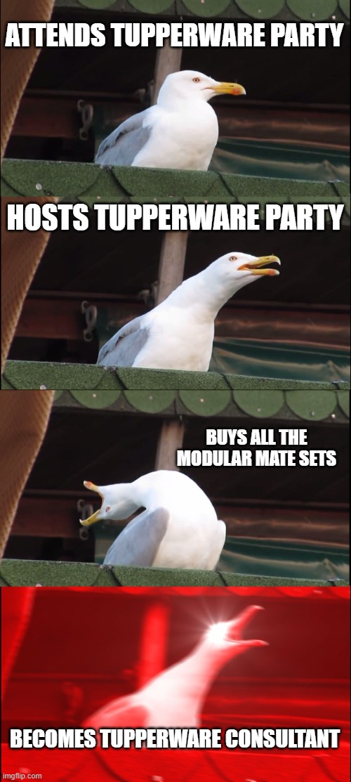 tupperware consultant | ATTENDS TUPPERWARE PARTY; HOSTS TUPPERWARE PARTY; BUYS ALL THE MODULAR MATE SETS; BECOMES TUPPERWARE CONSULTANT | image tagged in memes,inhaling seagull | made w/ Imgflip meme maker