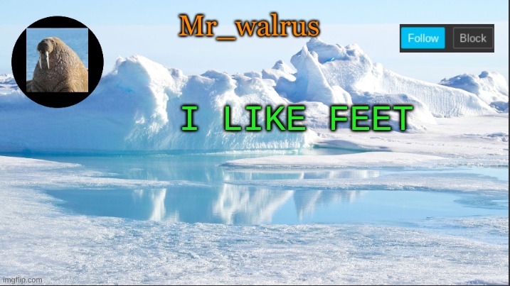 Mr_walrus | I LIKE FEET | image tagged in mr_walrus | made w/ Imgflip meme maker