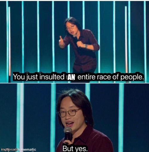 You just insulted my entire race of people | AN | image tagged in you just insulted my entire race of people | made w/ Imgflip meme maker