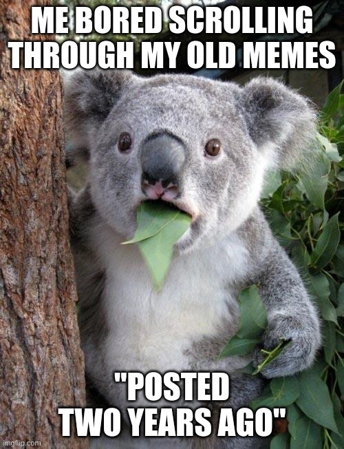 it's been that long! | ME BORED SCROLLING THROUGH MY OLD MEMES; "POSTED TWO YEARS AGO" | image tagged in suprised koala | made w/ Imgflip meme maker