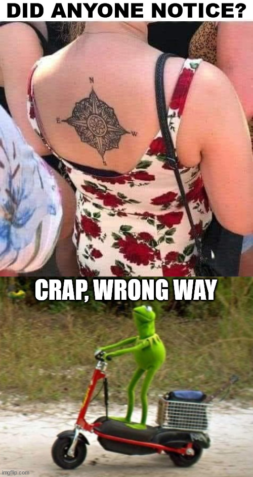 DID ANYONE NOTICE? CRAP, WRONG WAY | image tagged in kermit shit wrong way,you had one job | made w/ Imgflip meme maker