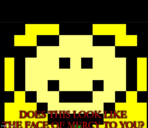 Flowey: Does this look like the face of mercy to you? | image tagged in flowey does this look like the face of mercy to you | made w/ Imgflip meme maker