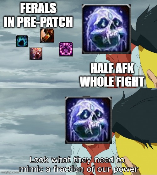 Feral druids in wrath pre-patch | FERALS IN PRE-PATCH; HALF AFK WHOLE FIGHT | image tagged in look what they need to mimic a fraction of our power,wow,world of warcraft,feral druid,frost dk | made w/ Imgflip meme maker