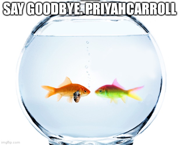 Fishbowl | SAY GOODBYE. PRIYAHCARROLL | image tagged in fishbowl | made w/ Imgflip meme maker