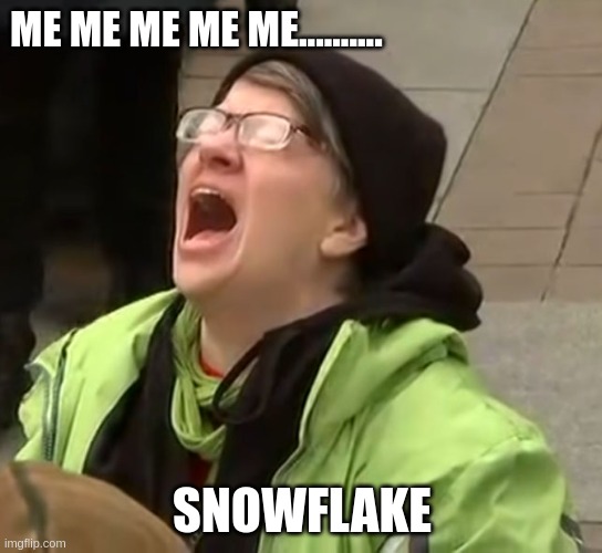 snowflale | ME ME ME ME ME.......... SNOWFLAKE | image tagged in snowflake | made w/ Imgflip meme maker