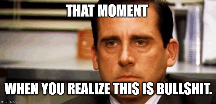 Steve Carell | THAT MOMENT; WHEN YOU REALIZE THIS IS BULLSHIT. | image tagged in steve carell | made w/ Imgflip meme maker