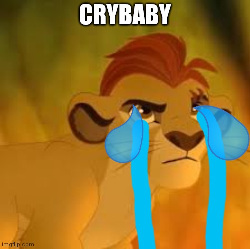 Crybaby | CRYBABY | image tagged in kion crybaby | made w/ Imgflip meme maker