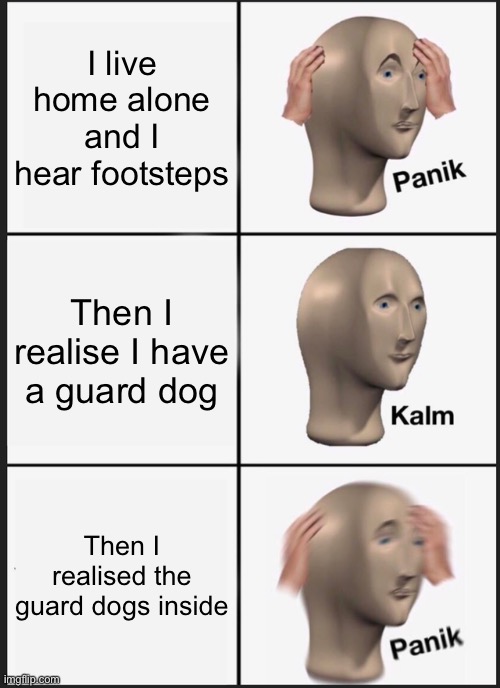 Panik Kalm Panik | I live home alone and I hear footsteps; Then I realise I have a guard dog; Then I realised the guard dogs inside | image tagged in memes,panik kalm panik | made w/ Imgflip meme maker