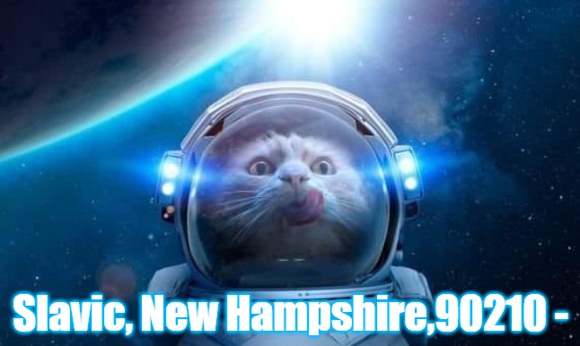 Spacecat | Slavic, New Hampshire,90210 - | image tagged in spacecat,slavic | made w/ Imgflip meme maker