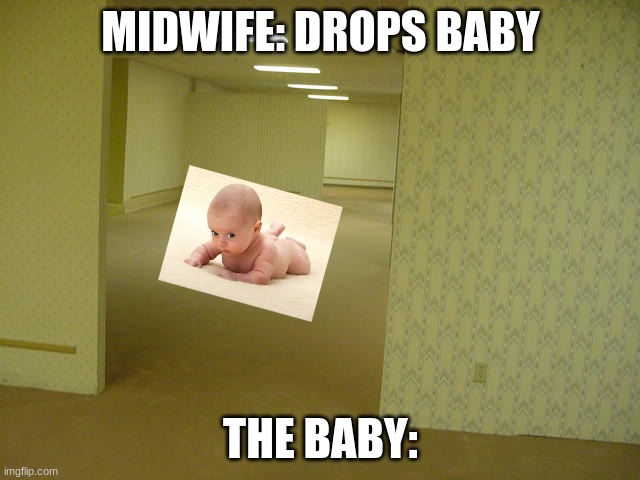 The Backrooms | MIDWIFE: DROPS BABY; THE BABY: | image tagged in the backrooms | made w/ Imgflip meme maker