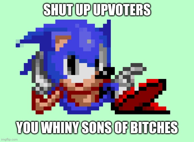 Sonic waiting | SHUT UP UPVOTERS; YOU WHINY SONS OF BITCHES | image tagged in sonic waiting | made w/ Imgflip meme maker