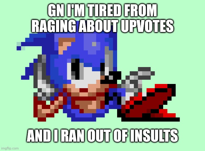 Sonic waiting | GN I'M TIRED FROM RAGING ABOUT UPVOTES; AND I RAN OUT OF INSULTS | image tagged in sonic waiting | made w/ Imgflip meme maker