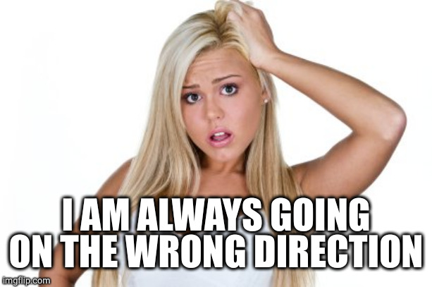 Dumb Blonde | I AM ALWAYS GOING ON THE WRONG DIRECTION | image tagged in dumb blonde | made w/ Imgflip meme maker