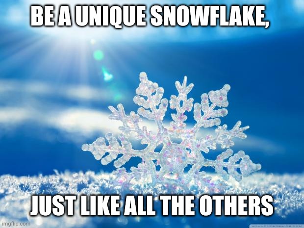 snowflake | BE A UNIQUE SNOWFLAKE, JUST LIKE ALL THE OTHERS | image tagged in snowflake | made w/ Imgflip meme maker