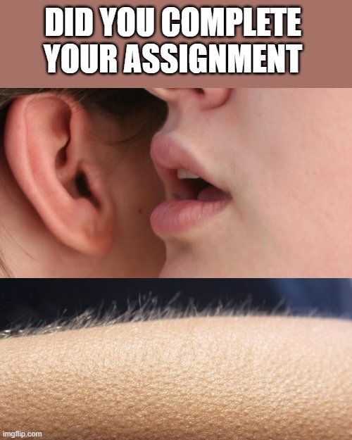 Whisper and Goosebumps | DID YOU COMPLETE YOUR ASSIGNMENT | image tagged in whisper and goosebumps | made w/ Imgflip meme maker