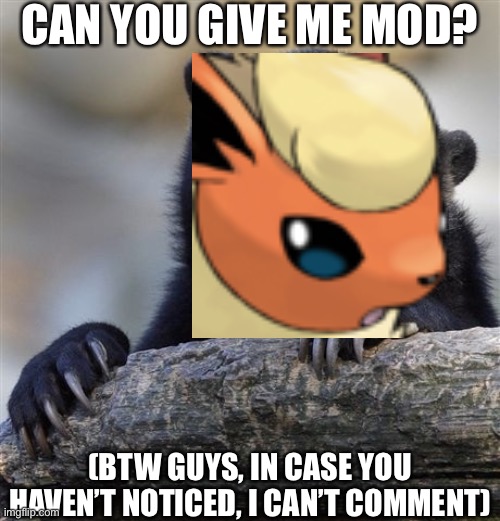 May I has mod? | CAN YOU GIVE ME MOD? (BTW GUYS, IN CASE YOU HAVEN’T NOTICED, I CAN’T COMMENT) | made w/ Imgflip meme maker