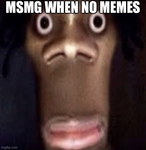 Quandale dingle | MSMG WHEN NO MEMES | image tagged in quandale dingle | made w/ Imgflip meme maker