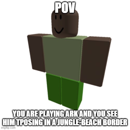 wasdwasdawsdawdswaqwrd<qf<aqfe<zaweg<awgeawegawegza | POV; YOU ARE PLAYING ARK AND YOU SEE HIM TPOSING IN A JUNGLE-BEACH BORDER | image tagged in joke rp | made w/ Imgflip meme maker