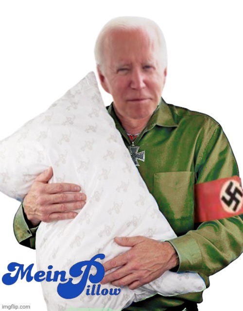 Mein Pillow | image tagged in memes,funny,joe biden,democrats,liberals,republicans | made w/ Imgflip meme maker