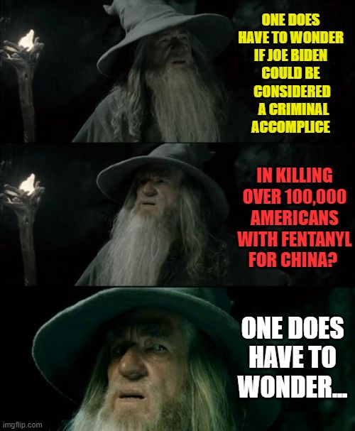 Confused Gandalf | ONE DOES HAVE TO WONDER IF JOE BIDEN   COULD BE  
 CONSIDERED   A CRIMINAL   ACCOMPLICE; IN KILLING OVER 100,000 AMERICANS WITH FENTANYL FOR CHINA? ONE DOES HAVE TO WONDER... | image tagged in memes,confused gandalf,joe biden,drugs,killing,americans | made w/ Imgflip meme maker